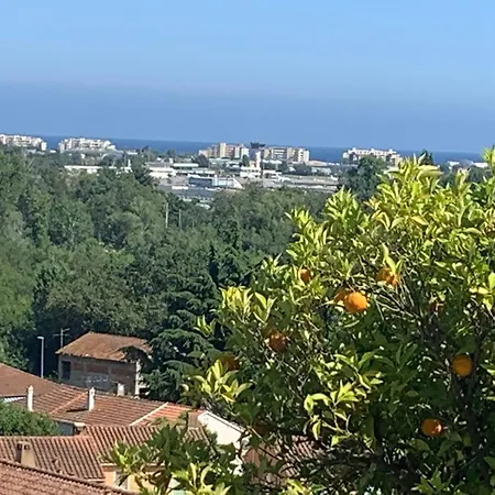 Bas De Avec Vue Degagee Lägenhet *